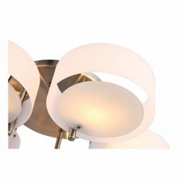 Потолочная люстра ST Luce Foresta  - 6